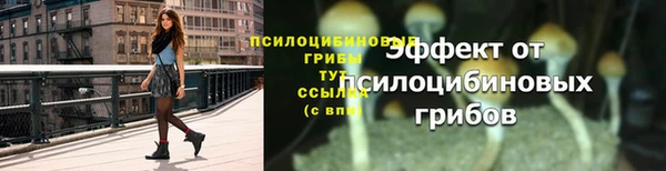 2c-b Вязники