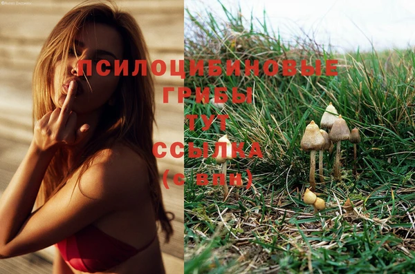 трава Вязьма