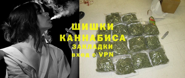 круглые Вяземский